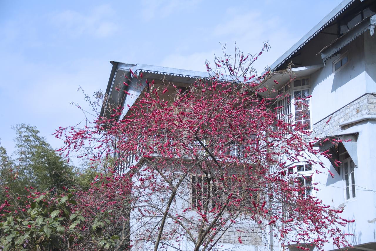 The Mazong Hotel Gangtok Eksteriør bilde